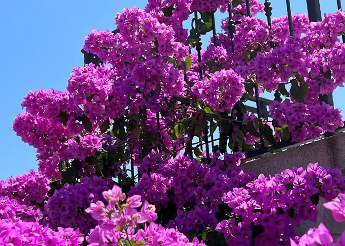 빌라 Stone House Luna *