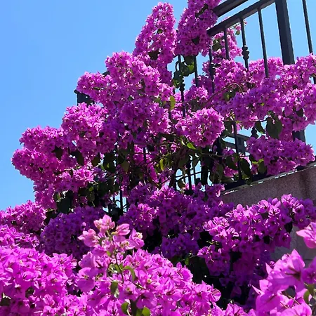 ヴィラ Stone House Luna *